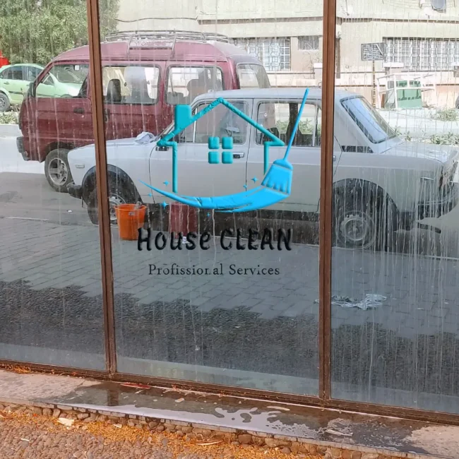 House Clean - Cleaning Service (42)